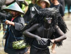 Ribuan Warga Padati Ritual Kebo-keboan Alasmalang, Tradisi Ratusan Tahun yang Terus Hidup di Banyuwangi