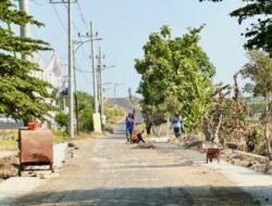 Infrastruktur Terus Diperkuat, Pavingisasi Jalan Rembang – Pekoren Masuki Tahap Finishing