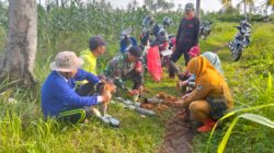 Babinsa Wonosobo Pimpin Gerakan Pengasapan Sarang Tikus, Petani Bersatu Cegah Gagal Panen