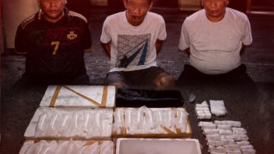 Polresta Banyuwangi Gagalkan Penyelundupan 23 Ribu Benih Lobster, Tiga Tersangka Ditangkap