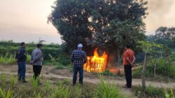 Gerak Cepat Polsek Puger Bongkar dan Musnahkan Bangunan Diduga Jadi Tempat Transaksi Okerbaya