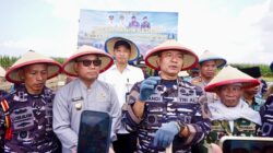 TNI AL dan Pemkab Banyuwangi Garap 1.200 Hektare Lahan Kedelai, Perkuat Swasembada Pangan Nasional