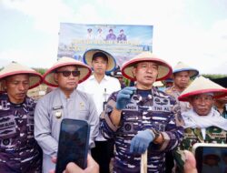 TNI AL dan Pemkab Banyuwangi Garap 1.200 Hektare Lahan Kedelai, Perkuat Swasembada Pangan Nasional