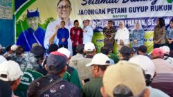Jagongan Bareng Petani Banyuwangi, Menko Pangan Janji Kawal Pembenahan Infrastruktur Pertanian