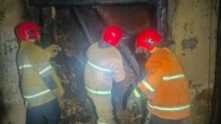 Dua Kebakaran Terjadi di Banyuwangi dalam Sehari, Dapur Rumah hingga Gudang Kayu Dilalap Api