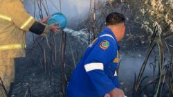 Kebakaran Lahan Kosong di Muncar Meluas, Damkarmat Banyuwangi Berjibaku Padamkan Api