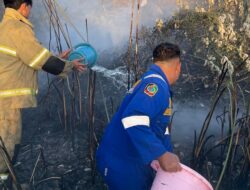 Kebakaran Lahan Kosong di Muncar Meluas, Damkarmat Banyuwangi Berjibaku Padamkan Api