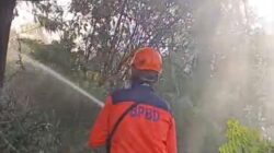 Kawah Ijen Ditutup Sementara karena Kebakaran Hutan
