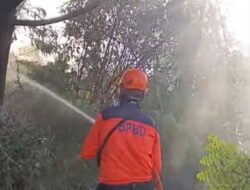 Kawah Ijen Ditutup Sementara karena Kebakaran Hutan