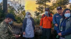 Pantau Langsung Kebakaran Kawah Ijen, Bupati Ipuk Ajukan Helikopter Water Bombing