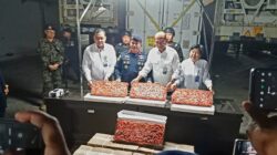 Diduga Masuk Pasar Lokal, 1.048 Ton Udang Impor Diamankan KKP di Jawa Timur