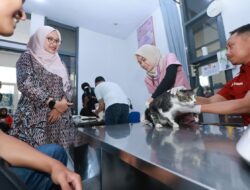 Rumah Sakit Hewan Banyuwangi Kini Dilengkapi Layanan Khusus Penyakit Dalam dan Bedah Hewan