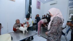 Ratusan Hewan Peliharaan di Banyuwangi Divaksin Rabies Gratis