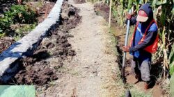 Permudah Akses Petani ke Lahan, DKPPP Bangun Jalan Usaha Tani di Desa Mojotengah