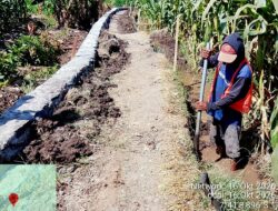 Permudah Akses Petani ke Lahan, DKPPP Bangun Jalan Usaha Tani di Desa Mojotengah