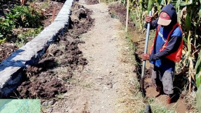 Permudah Akses Petani ke Lahan, DKPPP Bangun Jalan Usaha Tani di Desa Mojotengah