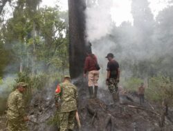 Karhutla Hanguskan 0,25 Hektare Hutan Pinus Songgon, Koramil dan Warga Bergerak Cepat
